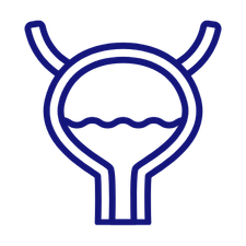 Bladder capacity and nighttime bladder control
