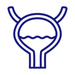 Bladder capacity and nighttime bladder control