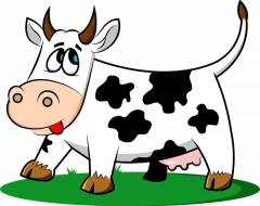 cow cow
